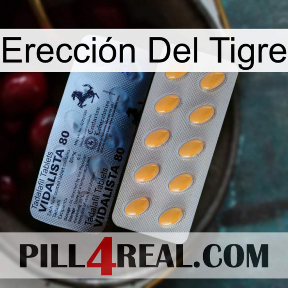 Erección Del Tigre 44.jpg